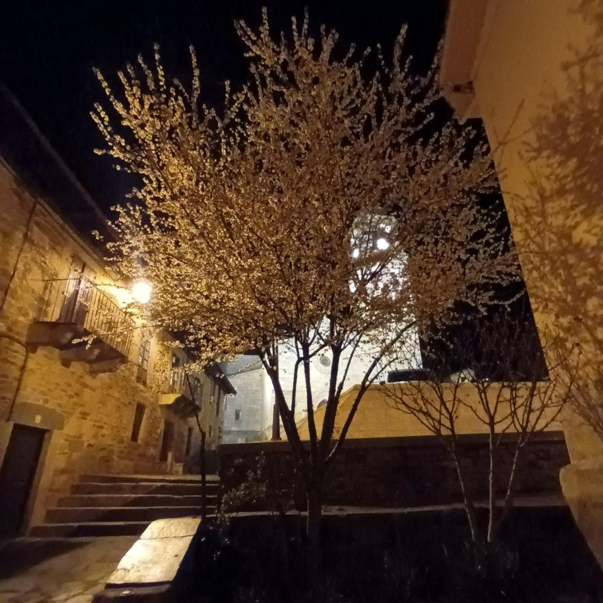 La Artesonada Casa Con Finca Villa Puebla de Sanabria Kültér fotó